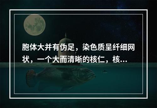 胞体大并有伪足，染色质呈纤细网状，一个大而清晰的核仁，核形略