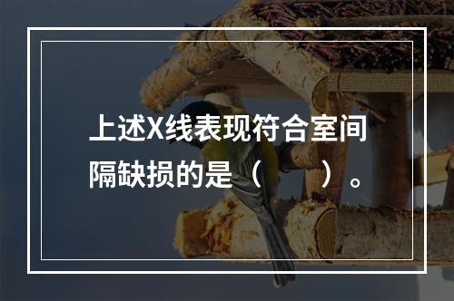 上述X线表现符合室间隔缺损的是（　　）。