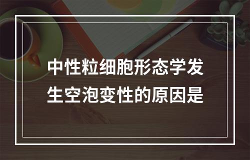 中性粒细胞形态学发生空泡变性的原因是