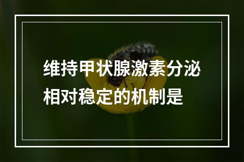 维持甲状腺激素分泌相对稳定的机制是