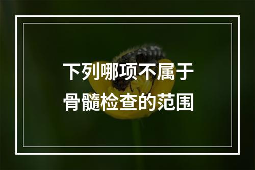 下列哪项不属于骨髓检查的范围