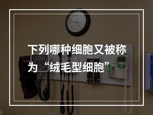 下列哪种细胞又被称为“绒毛型细胞”