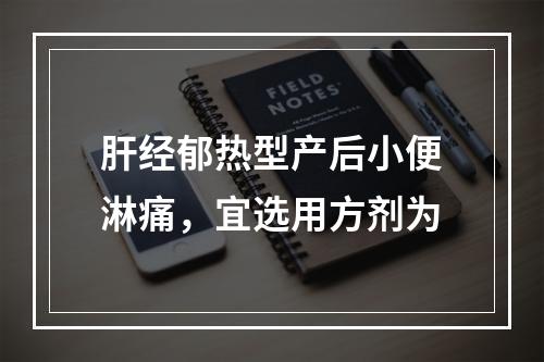 肝经郁热型产后小便淋痛，宜选用方剂为