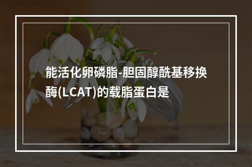 能活化卵磷脂-胆固醇酰基移换酶(LCAT)的载脂蛋白是