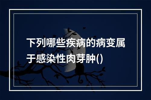 下列哪些疾病的病变属于感染性肉芽肿()