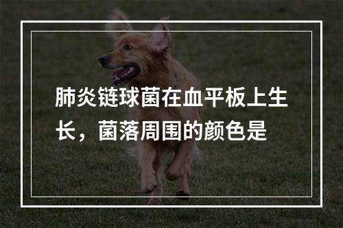 肺炎链球菌在血平板上生长，菌落周围的颜色是