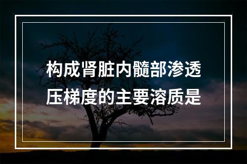 构成肾脏内髓部渗透压梯度的主要溶质是