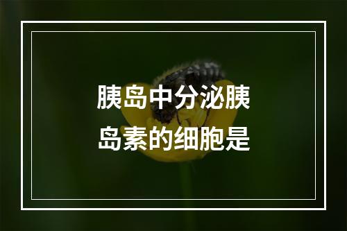 胰岛中分泌胰岛素的细胞是