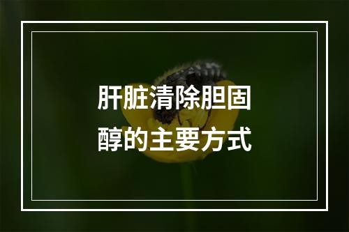 肝脏清除胆固醇的主要方式