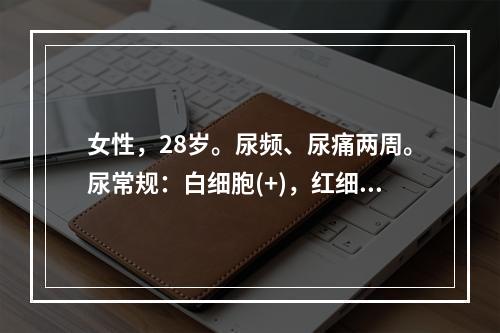 女性，28岁。尿频、尿痛两周。尿常规：白细胞(+)，红细胞(