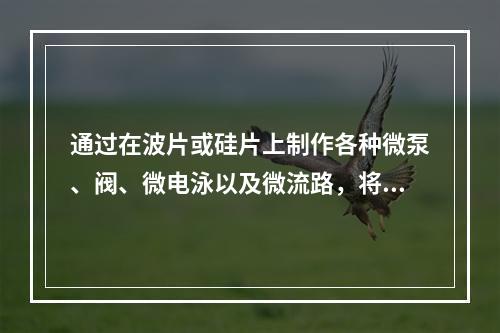 通过在波片或硅片上制作各种微泵、阀、微电泳以及微流路，将生化