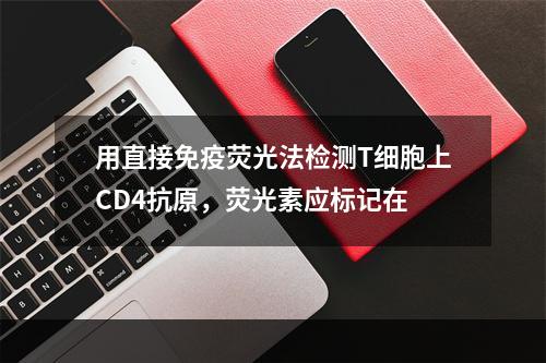 用直接免疫荧光法检测T细胞上CD4抗原，荧光素应标记在