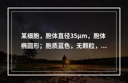 某细胞，胞体直径35μm，胞体椭圆形；胞质蓝色，无颗粒，有少