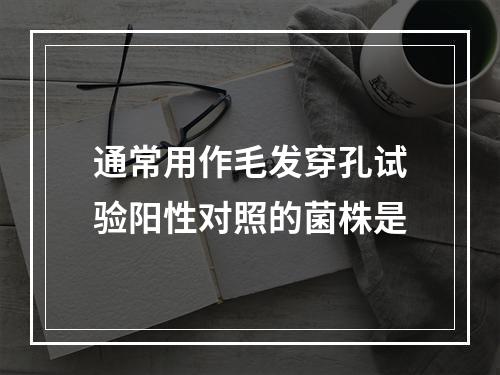 通常用作毛发穿孔试验阳性对照的菌株是