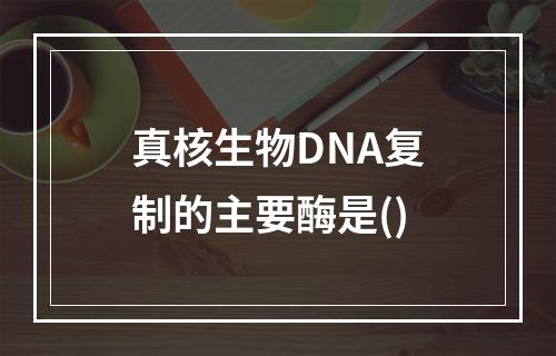 真核生物DNA复制的主要酶是()