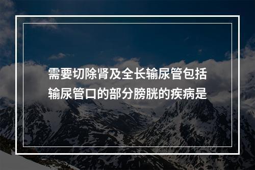 需要切除肾及全长输尿管包括输尿管口的部分膀胱的疾病是