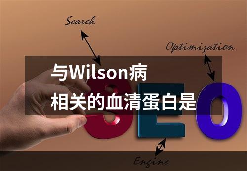 与Wilson病相关的血清蛋白是