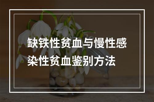 缺铁性贫血与慢性感染性贫血鉴别方法