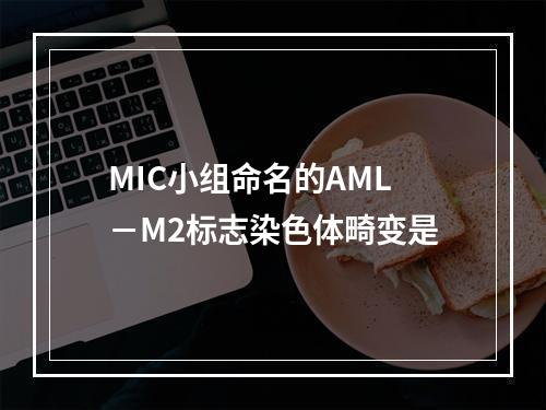 MIC小组命名的AML－M2标志染色体畸变是