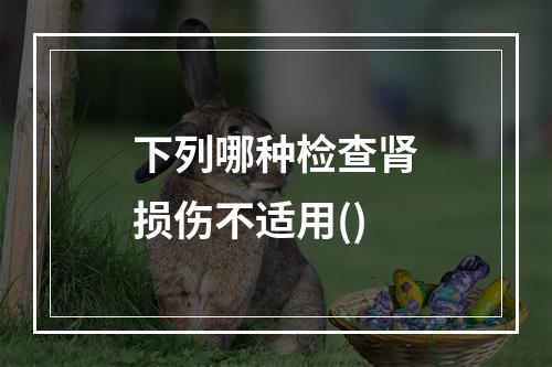 下列哪种检查肾损伤不适用()