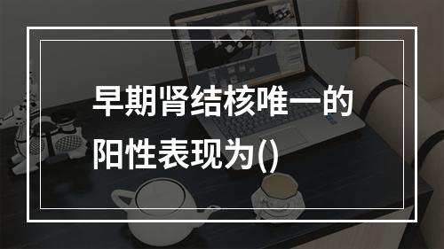 早期肾结核唯一的阳性表现为()