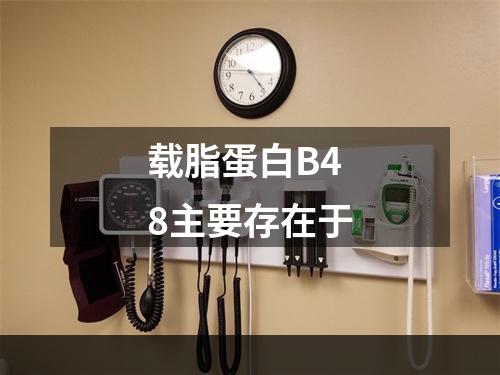 载脂蛋白B48主要存在于