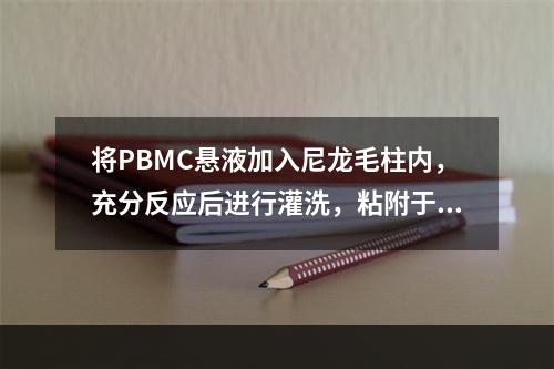 将PBMC悬液加入尼龙毛柱内，充分反应后进行灌洗，粘附于聚酰