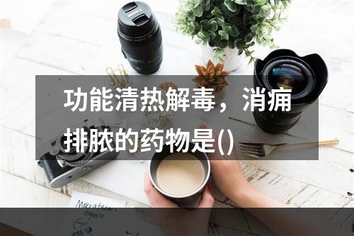 功能清热解毒，消痈排脓的药物是()