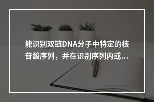 能识别双链DNA分子中特定的核苷酸序列，并在识别序列内或附近