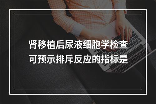 肾移植后尿液细胞学检查可预示排斥反应的指标是