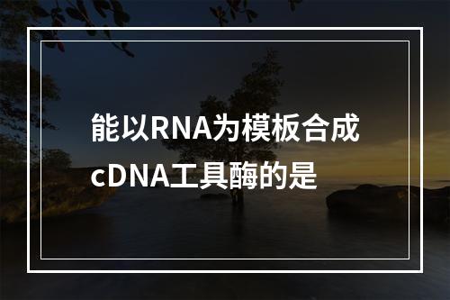 能以RNA为模板合成cDNA工具酶的是