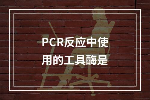 PCR反应中使用的工具酶是