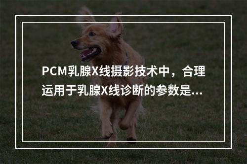 PCM乳腺X线摄影技术中，合理运用于乳腺X线诊断的参数是（　