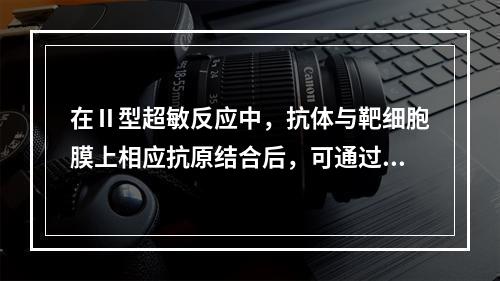 在Ⅱ型超敏反应中，抗体与靶细胞膜上相应抗原结合后，可通过多种