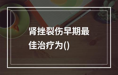 肾挫裂伤早期最佳治疗为()