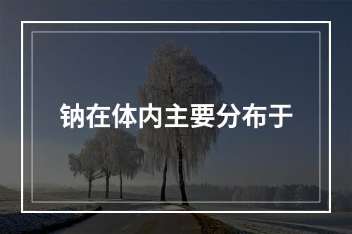 钠在体内主要分布于