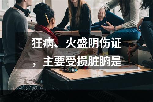 狂病、火盛阴伤证，主要受损脏腑是