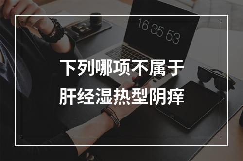 下列哪项不属于肝经湿热型阴痒