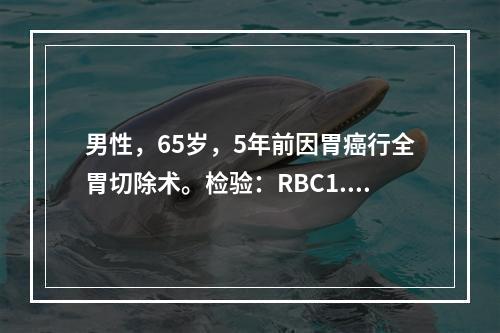 男性，65岁，5年前因胃癌行全胃切除术。检验：RBC1.2×