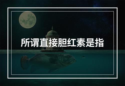 所谓直接胆红素是指