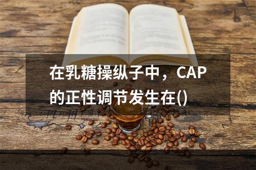 在乳糖操纵子中，CAP的正性调节发生在()