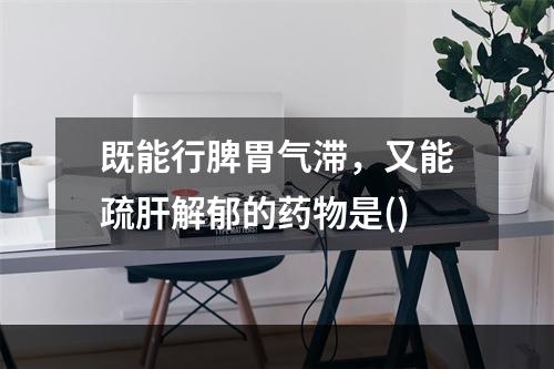 既能行脾胃气滞，又能疏肝解郁的药物是()