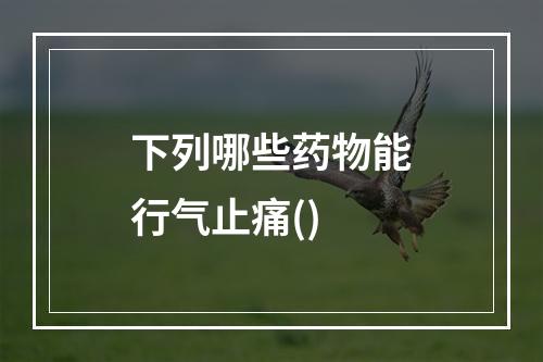 下列哪些药物能行气止痛()