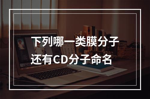 下列哪一类膜分子还有CD分子命名