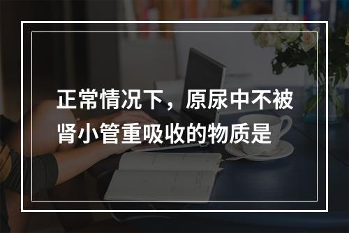 正常情况下，原尿中不被肾小管重吸收的物质是