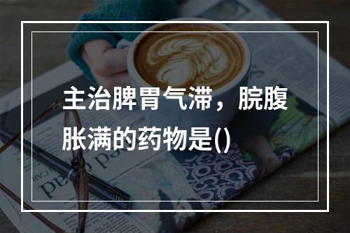 主治脾胃气滞，脘腹胀满的药物是()