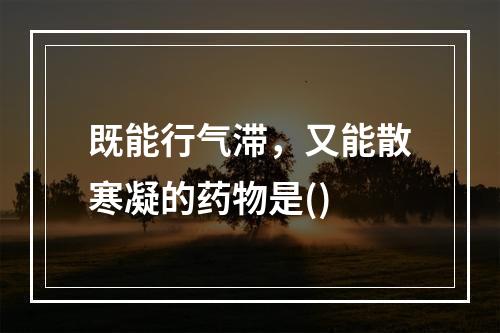 既能行气滞，又能散寒凝的药物是()