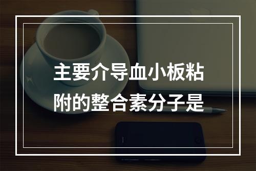 主要介导血小板粘附的整合素分子是