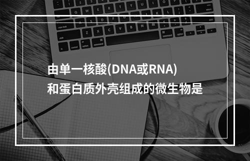 由单一核酸(DNA或RNA)和蛋白质外壳组成的微生物是