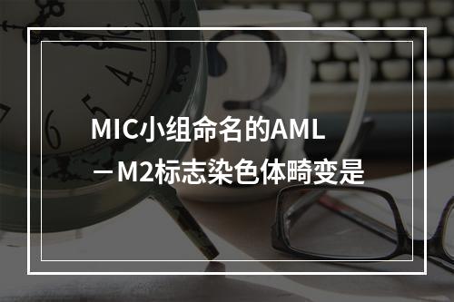 MIC小组命名的AML－M2标志染色体畸变是